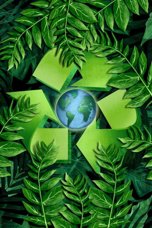Centre for Environmental Rights legal pages digitised and indexed for public-interest cases
