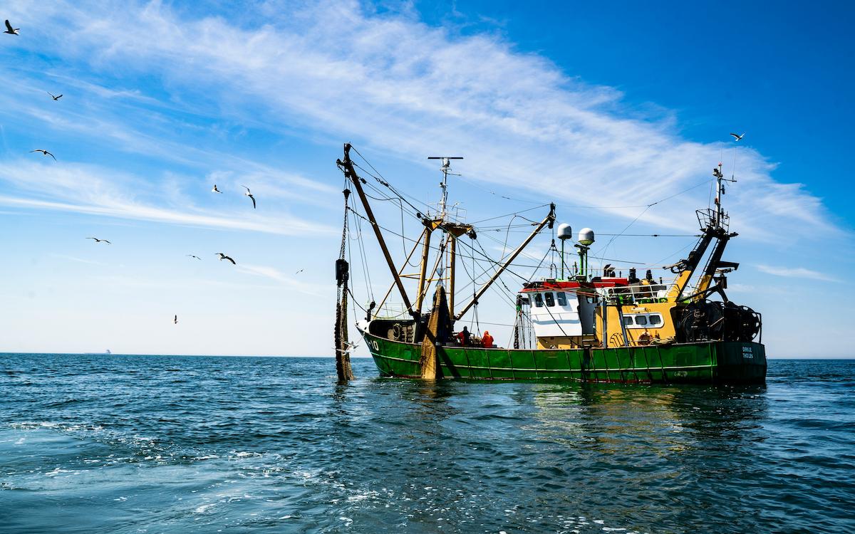 DFFE fisher verification applications digitised for government permit processing